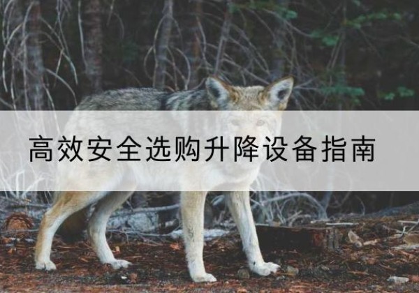 新龙升降货梯厂家推荐-*安全选购升降设备指南
