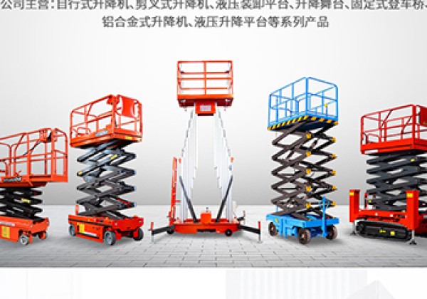 新龙​出口成为核心增长引擎