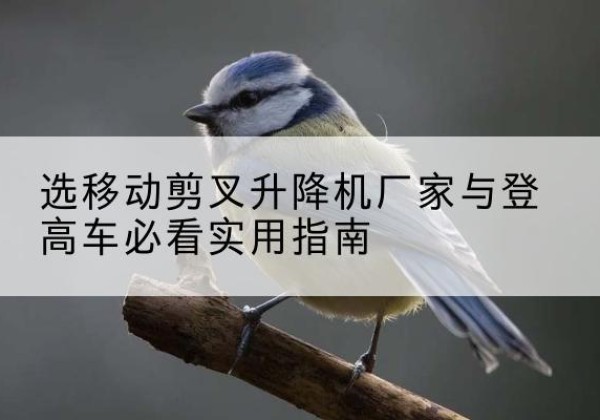 新龙电动升降机厂家-选移动剪叉升降机厂家与登高车必看实用指南
