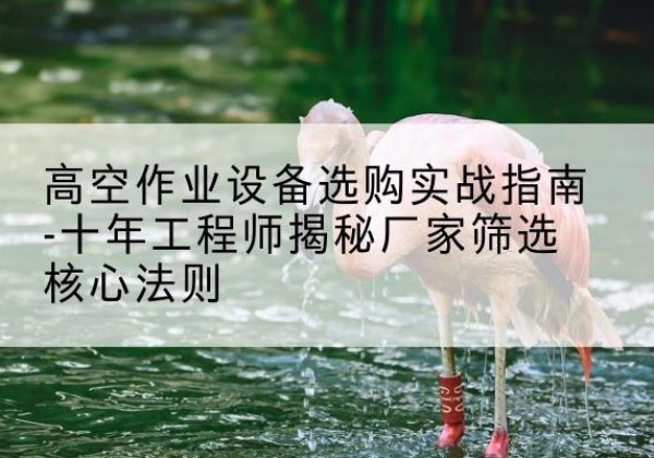新龙剪叉式升降机厂家-高空作业设备选购实战指南-十年工程师揭秘厂家筛选核心法则